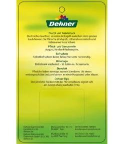 Pfirsich 'Suncrest' -Weber Store 7760754 GelbfleischigerPfirsichSuncrest Etikett 2