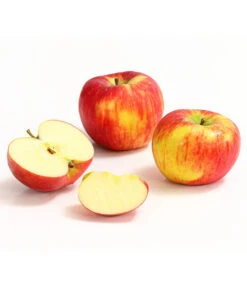 Herbstapfel 'Topaz' -Weber Store 7763931 WE DE 008 ApfelTopazDehnerExpressHerzig