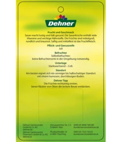 Sauerkirsche 'Vowi' -Weber Store 7773757 SauerkirscheVowi Etikett 2