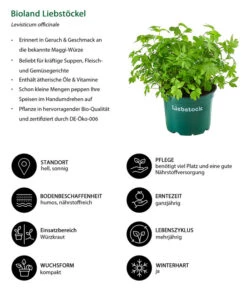 Bestseller -Weber Store 8002008 WE IG 001 BiolandLiebstoeckel