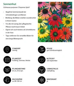 Garten-Scheinsonnenhut 'Cheyenne Spirit' -Weber Store 8039901 WE IG 001 Sonnenhut