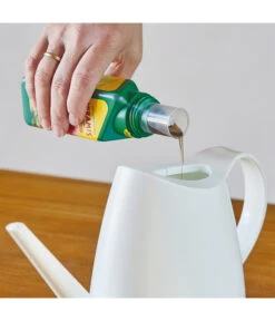 Seramis Vitalnahrung Für Kakteen & Sukkulenten, 200 Ml -Weber Store 8475881 WE MO 001 SeramisKakteenSukkulentenDuenger200ml