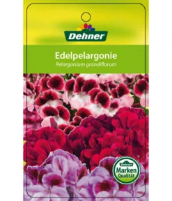 Edelgeranie, Stämmchen -Weber Store 8585275 Edelpelargonie 04022016 1