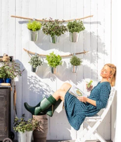 Bio Rosmarin 6 Bio Rosmarin -Weber Store 8610123 WE MO 001 Oregano Kraeuter 1