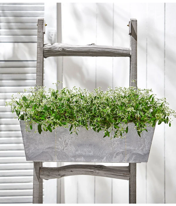 Zauberschnee 'Diamond Frost' 2 Zauberschnee 'Diamond Frost' – Bild 2