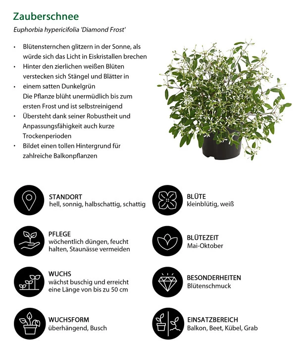 Zauberschnee 'Diamond Frost' 6 Zauberschnee 'Diamond Frost' – Bild 6