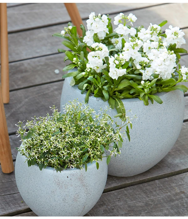 Zauberschnee 'Diamond Frost' 3 Zauberschnee 'Diamond Frost' – Bild 3