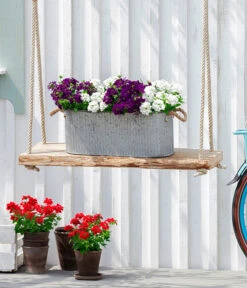 Eisenkraut, Verschiedene Farben -Weber Store 8826828 WE MO 001EisenkrautT13