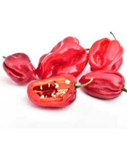 Chili 'Habanero', Rot -Weber Store 8830333 WE FS 001 ChiliHabaneroRot