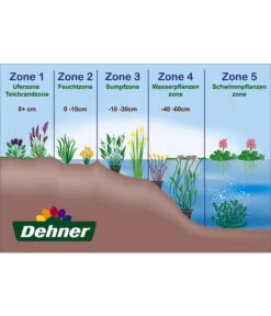 Wasserpflanzen-Set Blütenparadies, Verschiedene Sorten, 6er-Schale -Weber Store WE DE 001 Teichzonen Wasserpflanzen Schild 1